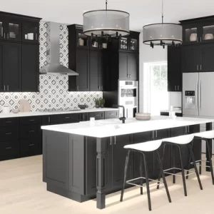 Black Shaker Kitchen Cabinets